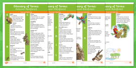 rainforest glossary