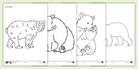 Bear Hunt Colouring Sheets (teacher made) - Twinkl