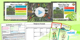 Geography Rainforests Layers Of The Rainforest Year 3 Lesson Pack 3