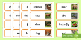 Farm Word Cards (teacher made)