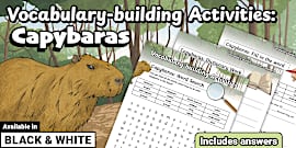 Describe the Capybara Writing Worksheet