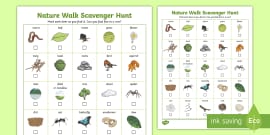 Bugs Scavenger Hunt (teacher made)