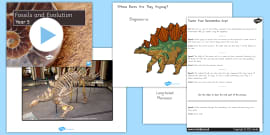 Differentiated Fossil Record Activity Template | Twinkl