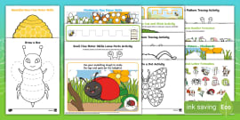 Minibeast Trails Fine Motor Skills Cards (teacher made)