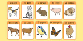 Free! - Farm Animals Word Mat Spanish (teacher Made)