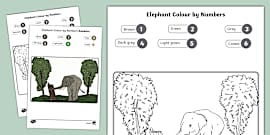 Colour mixing paint activity sheet (Hecho por educadores)