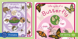 Free Life Cycle Posters Bbc Teach Video Twinkl Partnerships