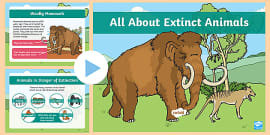 What are Extinct Animals? | Extinct Animal Facts - Twinkl