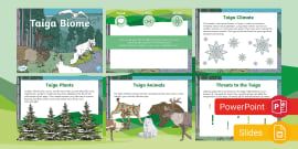 Desert Biome PowerPoint & Google Slides (Teacher-Made)