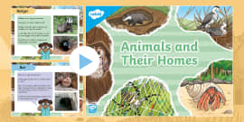 Animal Homes For Kids PowerPoint - Science - EYLF - Twinkl