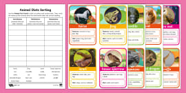 Eating Habits of Animals for Class Worksheets (Teacher-Made)