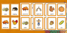 👉 Autumn Pictures for Children | KS1 Display Resources