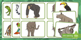 Animal Picture Flash Cards (teacher made) - Twinkl