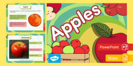 KS1 Life Cycle of an Apple Tree PowerPoint (teacher made)