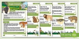 Desert Animals Facts and Pictures Sheets | Twinkl - Twinkl