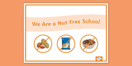 Lunchtime No Nuts Allergy Display Posters (teacher made)