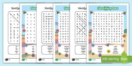 Minibeast Word Search KS1 - Primary Resources (teacher made)