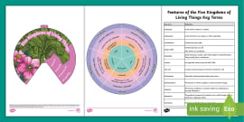 The 5 Kingdom Classification System | 5 Animals Kingdoms