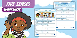 My 5 Senses PowerPoint