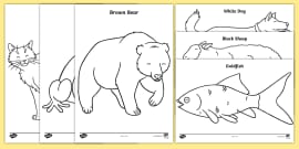 FREE! - Colour Prompt Cards to Support Teaching on Brown Bear Brown Bear