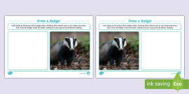 Badger Features Labelling Activity,badger (teacher made)