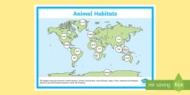 Earth Habitats Scratch Map World Map Animal Habitat Labelling Activity | Teacher Made