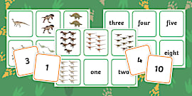 Dinosaur Number Flash Cards 1 - 20