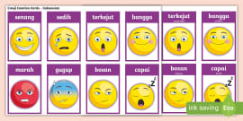 Reading Comprehension Emotions - Indonesian (teacher made)