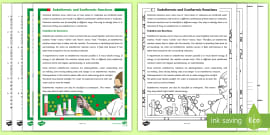 Endothermic or Exothermic Investigation Instructions | Beyond