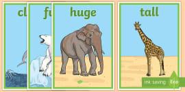 Zoo Animals Adjectives Flashcards
