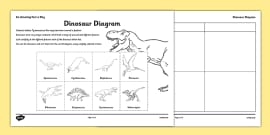 grade 4 carroll diagram template printable worksheet