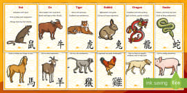 Chinese Zodiac Wheel | Chinese New Year | EYFS Resources