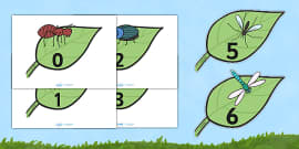 Minibeast Display Banner - Banner, Minibeasts, Display, Topic