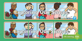 The 5 Senses Display Poster - Teaching Resource - Twinkl