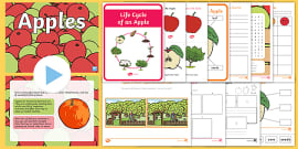 KS1 Life Cycle of an Apple Tree PowerPoint (teacher made)