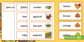 Autumn Senses Word Cards (teacher Made) - Twinkl