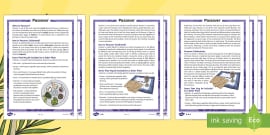 The Seder Plate Worksheet - KS2 RE Resources (teacher made)