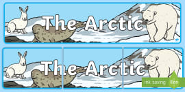 Free The Desert Display Banner Teacher Made