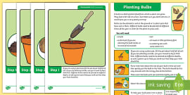 Planting Bulbs Cards (teacher made) - Twinkl