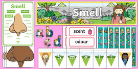 Five Senses Display Posters - Smell, sight, sound, hearing