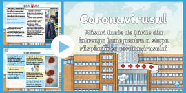 Corpul Omenesc Inima Plămanii Vasele De Sange Planșă