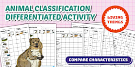 Animal Classification Keys KS2 - Primary Resources - Twinkl