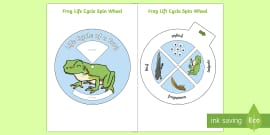 Frog Life Cycle Spin Wheel - life cycles, visual aids, lifecycles