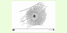 FREE! - Charlotte's Web Colouring Page | Colouring sheets
