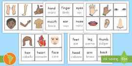 FREE! - Body Parts in Spanish Worksheet | Body Parts Labelling