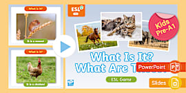 ESL What Is It? What Are Those? Lesson Kids Pre A1 ESL What Is It? What Are Those? Lesson Kids Pre A1