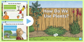 Plants Quiz PowerPoint | Science Quiz (teacher made)