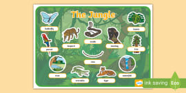 Jungle and Rainforest Word Mat | Ages 3–7 | Twinkl Resources