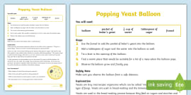 Yeast Experiment For Preschool | Science Worksheet | Twinkl