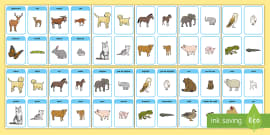 Animalele Domestice și Puii Lor Teacher Made